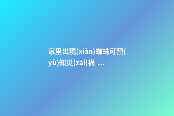 家里出現(xiàn)蜘蛛可預(yù)知災(zāi)禍！
